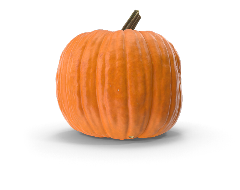 Food For Life - Great Pumpkin Giveaway