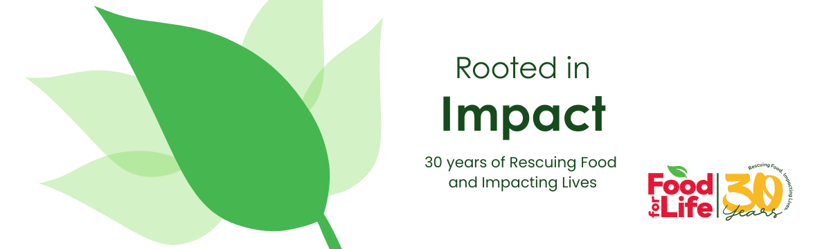 Rooted in impact header graphic.