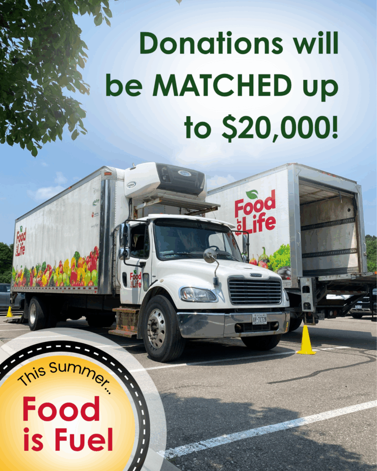 Summer food donation campaign.