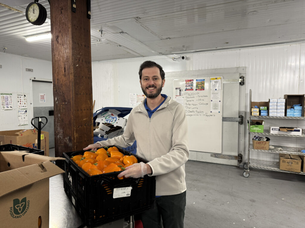 A photo of a collection vegetables.