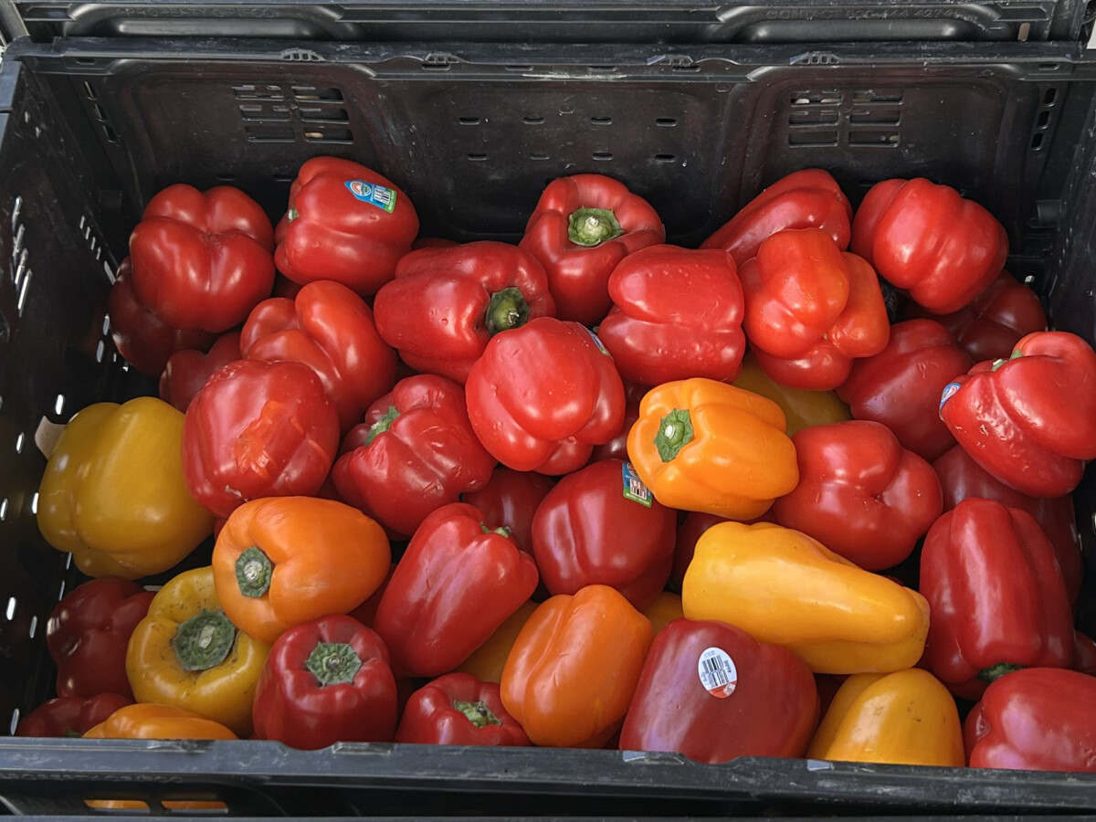 A basket of red and orange peppers.